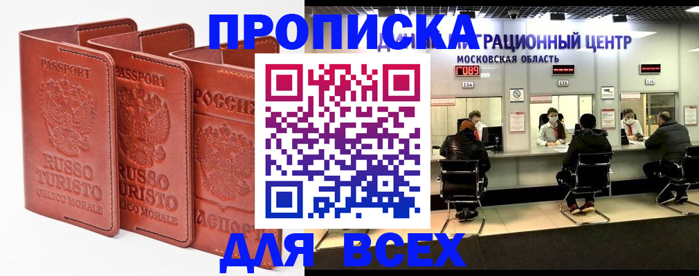 прописка поиск в Шлиссельбурге